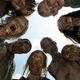 Image for article titled The Walking Dead: “Slabtown”